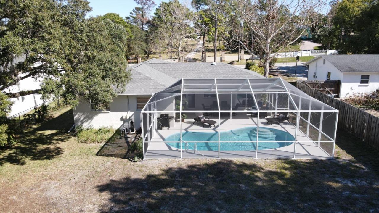 Modern Home, Heated Pool, Close To Beaches! Tarpon Springs Zewnętrze zdjęcie